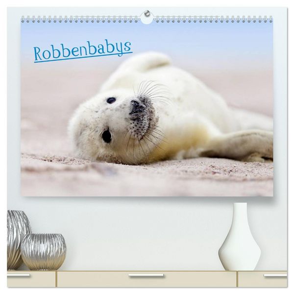 Produktbild: Robbenbabys (hochwertiger Premium Wandkalender 2026 DIN A2 quer), Kunstdruck in Hochglanz