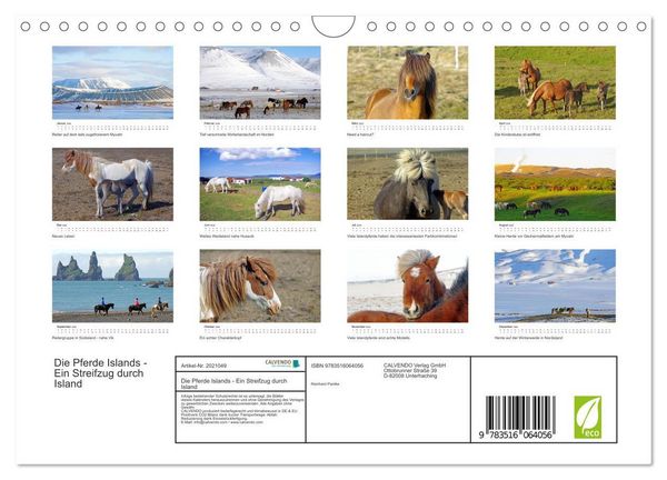 Produktbild: Die Pferde Islands - Ein Streifzug durch Island (Wandkalender 2026 DIN A4 quer), CALVENDO Monatskalender