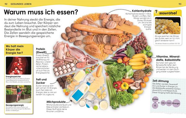 Produktbild: Weshalb? Deshalb! K&ouml;rper
