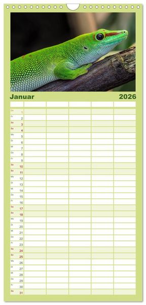 Produktbild: Familienplaner 2026 - Echsen - Schuppige &Uuml;berlebensk&uuml;nstler mit 5 Spalten (Wandkalender, 21 x 45 cm) CALVENDO