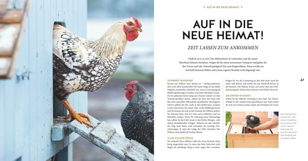 Produktbild: H&uuml;hner Basics