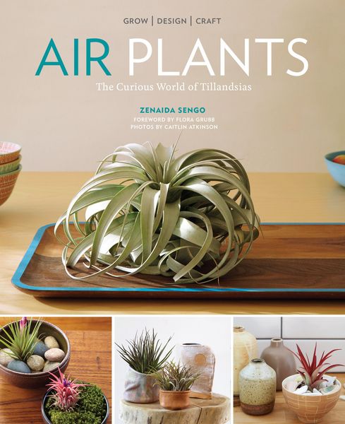 Produktbild: Air Plants