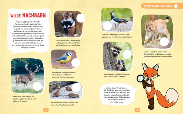 Produktbild: Wilde Tiere in der Stadt &ndash; Das Natur-Mitmachbuch