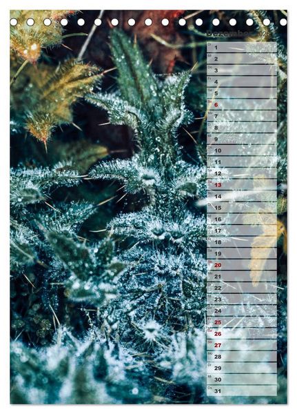 Produktbild: Kalender - Natur im Detail (Tischkalender 2026 DIN A5 hoch), CALVENDO Monatskalender