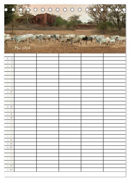 Produktbild: Goldenes Myanmar - Familienkalender 2026 (Tischkalender 2026 DIN A5 hoch), CALVENDO Monatskalender
