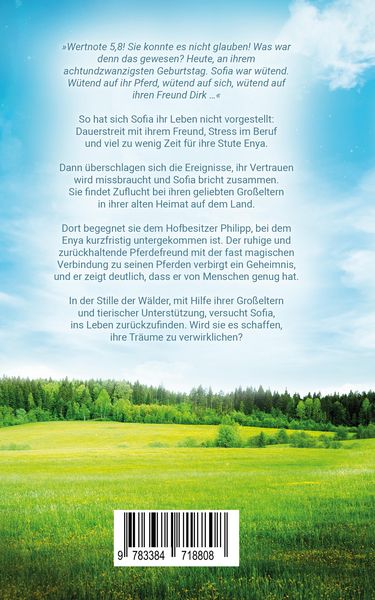 Produktbild: Enya - Weg zur Geborgenheit