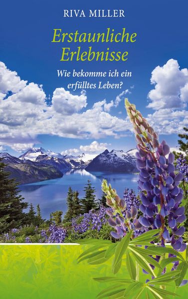 Produktbild: Erstaunliche Erlebnisse