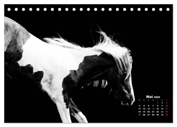 Produktbild: Pferde zwischen Licht und Schatten (Tischkalender 2026 DIN A5 quer), CALVENDO Monatskalender