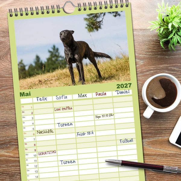 Produktbild: Familienplaner 2027 - ausdrucksvolle Holl&auml;ndische Sch&auml;ferhunde mit 5 Spalten (Wandkalender, 21 x 45 cm) CALVENDO