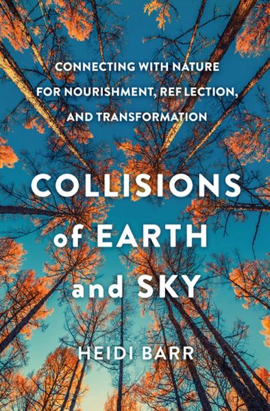 Produktbild: Collisions of Earth and Sky