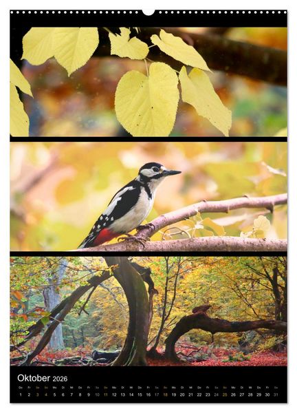 Produktbild: Bezaubernde Farben der Natur (Wandkalender 2026 DIN A2 hoch), CALVENDO Monatskalender