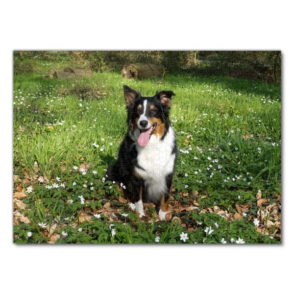 Produktbild: Lais Puzzle Australian Shepherd 1000 Teile