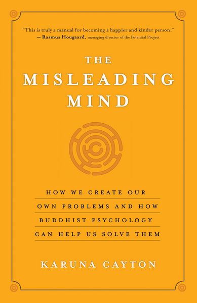Produktbild: The Misleading Mind