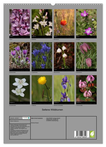 Produktbild: Seltene Wildblumen (hochwertiger Premium Wandkalender 2026 DIN A2 hoch), Kunstdruck in Hochglanz