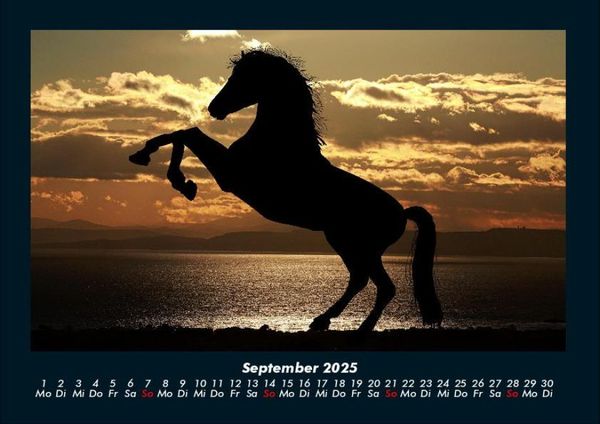 Produktbild: Die Welt der Pferde 2025 Fotokalender DIN A4