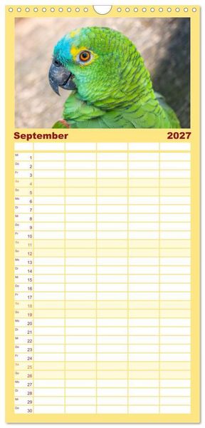 Produktbild: Familienplaner 2027 - Aras und bunte Sittiche: Exotische Papageien-Portr&auml;ts mit 5 Spalten (Wandkalender, 21 x 45 cm) CALVENDO