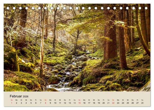 Produktbild: Der Wald. Durch zauberhafte Waldlandschaften (Tischkalender 2026 DIN A5 quer), CALVENDO Monatskalender