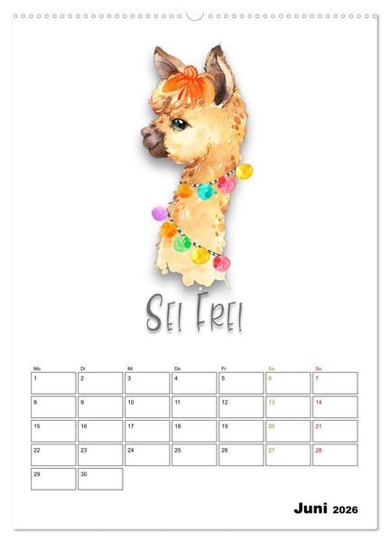 Produktbild: Bleib cool - Gute-Laune-Kalender (Wandkalender 2026 DIN A2 hoch), CALVENDO Monatskalender