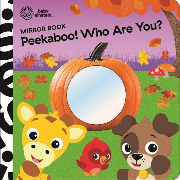 Produktbild: Baby Einstein: Peekaboo! Who Are You? Mirror Book