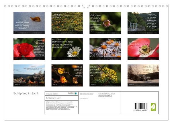 Produktbild: Sch&ouml;pfung im Licht (Wandkalender 2026 DIN A3 quer), CALVENDO Monatskalender