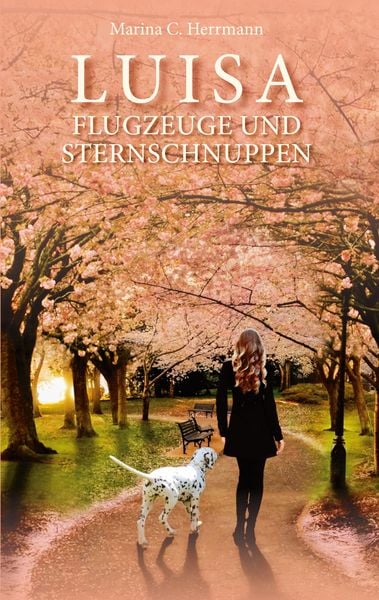 Produktbild: Luisa - Flugzeuge und Sternschnuppen