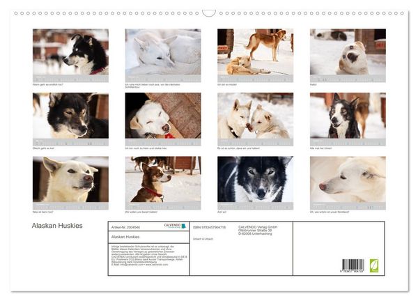 Produktbild: Alaskan Huskies (Wandkalender 2026 DIN A2 quer), CALVENDO Monatskalender