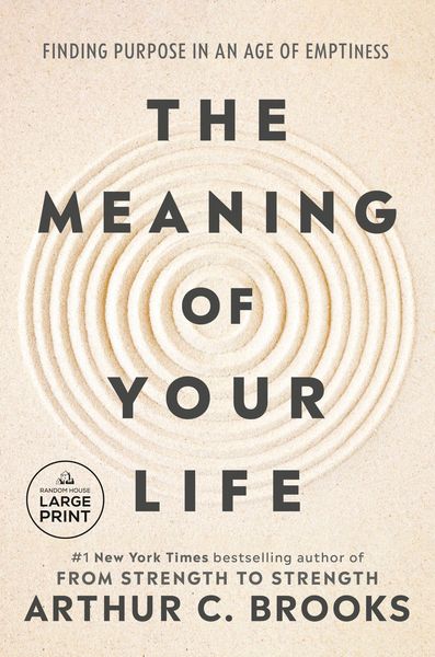 Produktbild: The Meaning of Your Life