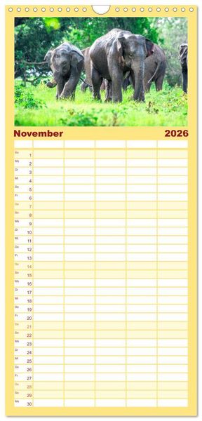 Produktbild: Familienplaner 2026 - Sri Lanka - Eine wahre Perle im Indischen Ozean mit 5 Spalten (Wandkalender, 21 x 45 cm) CALVENDO