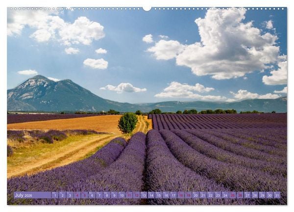 Produktbild: Discover the Beauty of Provence (Wall Calendar 2026 DIN A2 landscape), CALVENDO 12 Month Wall Calendar