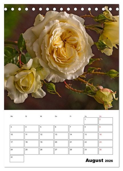 Produktbild: Zauberhafte Rosen (Tischkalender 2026 DIN A5 hoch), CALVENDO Monatskalender