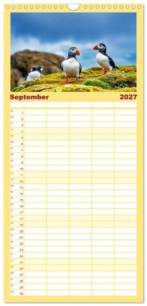 Produktbild: Familienplaner 2027 - Tieftaucher Papageitaucher mit 5 Spalten (Wandkalender, 21 x 45 cm) CALVENDO
