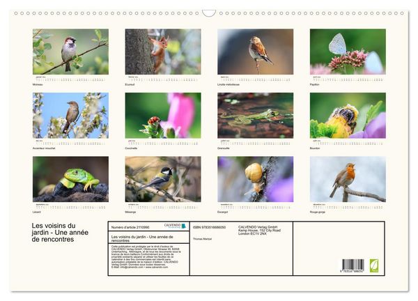 Produktbild: Les voisins du jardin - Une ann&eacute;e de rencontres (Calendrier mural 2026 DIN A2 vertical), CALVENDO calendrier mensuel
