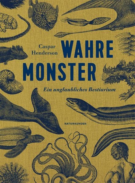 Produktbild: Wahre Monster