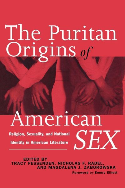 Produktbild: The Puritan Origins of American Sex