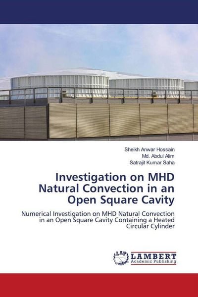 Produktbild: Investigation on MHD Natural Convection in an Open Square Cavity