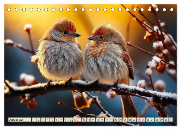 Produktbild: V&ouml;gel Alltag (Tischkalender 2026 DIN A5 quer), CALVENDO Monatskalender