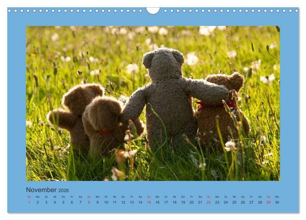 Produktbild: Teddys Meine Freunde (Wandkalender 2026 DIN A3 quer), CALVENDO Monatskalender