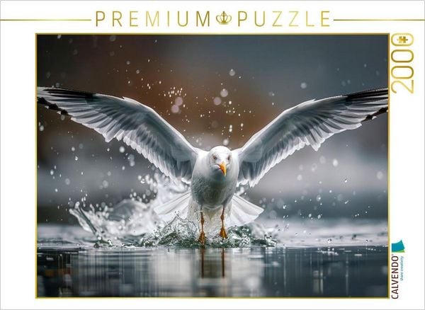 Produktbild: CALVENDO Puzzle Start oder Landung | 2000 Teile Lege-Gr&ouml;&szlig;e 90x67cm Foto-Puzzle f&uuml;r gl&uuml;ckliche Stunden