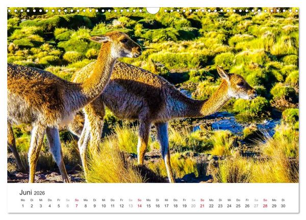 Produktbild: Chile - Land voller Kontraste (Wandkalender 2026 DIN A3 quer), CALVENDO Monatskalender