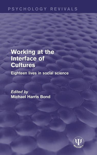 Produktbild: Working at the Interface of Cultures