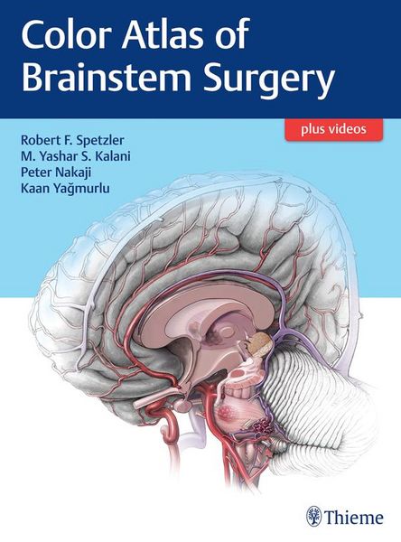 Produktbild: Color Atlas of Brainstem Surgery