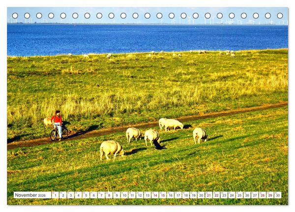 Produktbild: Am Elbdeich - Von Schiffen und Schafen (Tischkalender 2026 DIN A5 quer), CALVENDO Monatskalender