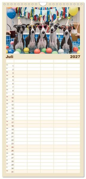 Produktbild: Familienplaner 2027 - Funny Greyhounds - Windhunde mal anders mit 5 Spalten (Wandkalender, 21 x 45 cm) CALVENDO