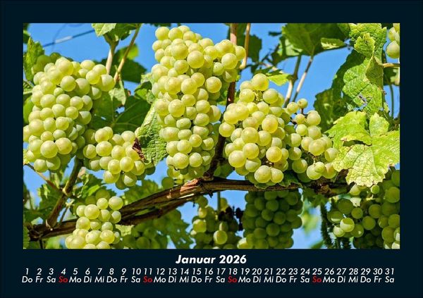 Produktbild: Obstkalender 2026 Fotokalender DIN A5