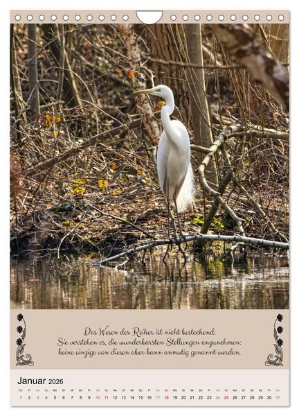 Produktbild: Buntes Tierleben (Wandkalender 2026 DIN A4 hoch), CALVENDO Monatskalender