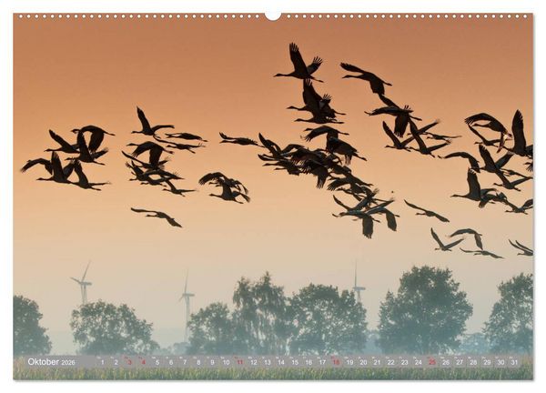 Produktbild: KranichRomantik (hochwertiger Premium Wandkalender 2026 DIN A2 quer), Kunstdruck in Hochglanz