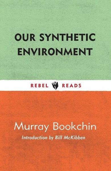 Produktbild: Our Synthetic Environment