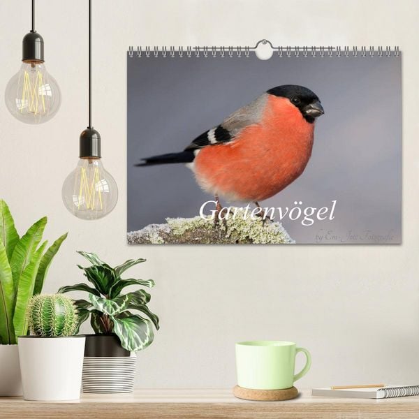 Produktbild: V&ouml;gel aus dem Garten (Wandkalender 2026 DIN A4 quer), CALVENDO Monatskalender