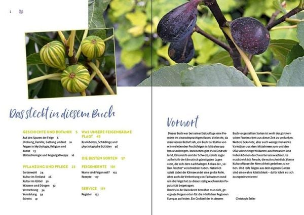 Produktbild: Feigen aus dem eigenen Garten