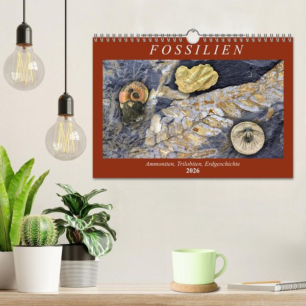 Produktbild: Fossilien - Ammoniten, Trilobiten, Erdgeschichte (Wandkalender 2026 DIN A4 quer), CALVENDO Monatskalender